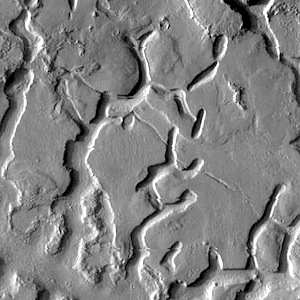 Channels of Galaxias Fossae (THEMIS_IOTD_20140821)