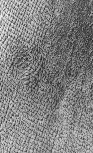 Defrosting dunes in Hyperboreae Undae (THEMIS_IOTD_20160115)