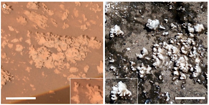 el-tatio-comparison