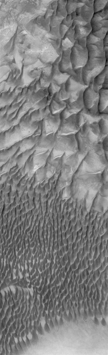 Dunes transition line in Russell Crater (THEMIS_IOTD_20170808)