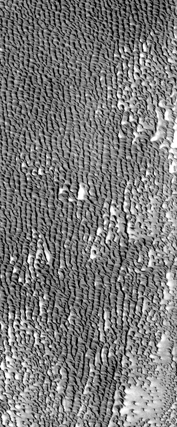 Dunes of Siton Undae (THEMIS_IOTD_20170812)