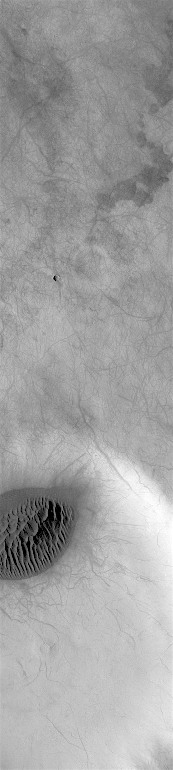 Dunes and dust devil tracks (THEMIS_IOTD_20190130)