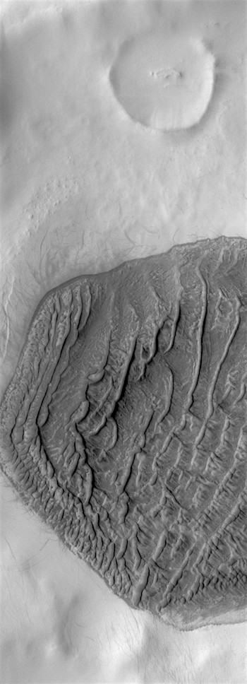 High-latitude dune field (THEMIS_IOTD_20190214)