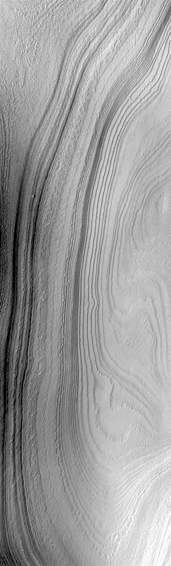 Polar layers like wood grain (THEMIS_IOTD_20190320)