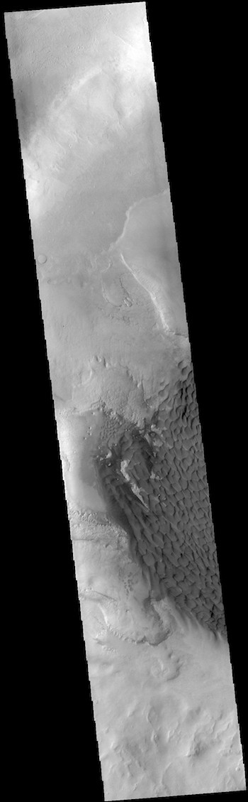 Rabe Crater dunes (THEMIS_IOTD_20190311)