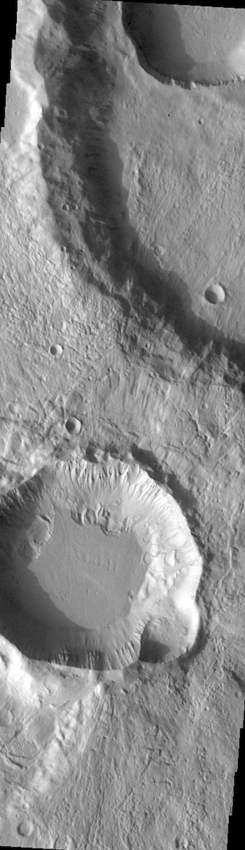 Terra Cimmeria craters (THEMIS_IOTD_20190313)