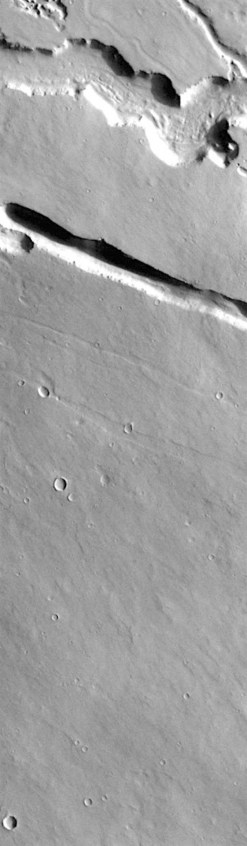 Elysium Fossae (THEMIS_IOTD_20190903)